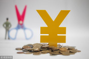 新文化擬定增五億元補充流動資金,海航系渤海信托現(xiàn)身