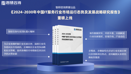2024版中國IT服務(wù)行業(yè)發(fā)展現(xiàn)狀及投資前景研究報告(智研咨詢)