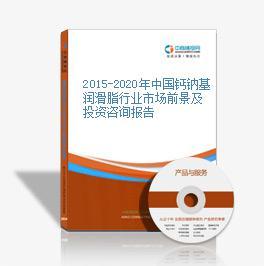 2016-2021年中國鈣鈉基潤滑脂市場前景及融資戰(zhàn)略咨詢